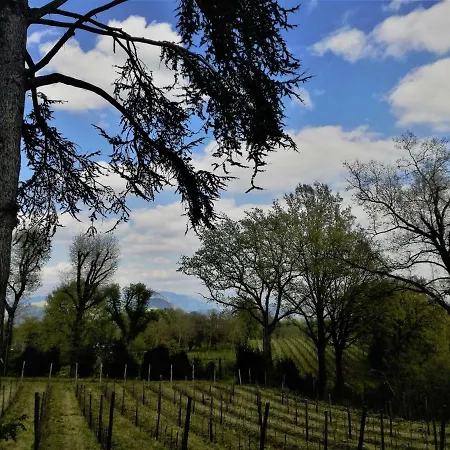 La Quercia Di Aorivola Caianello Vecchio