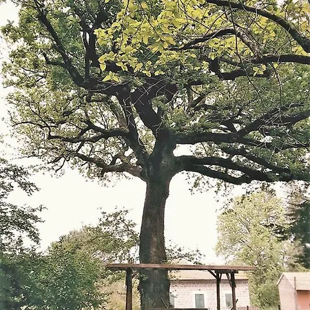 La Quercia Di Aorivola Penzion 3*